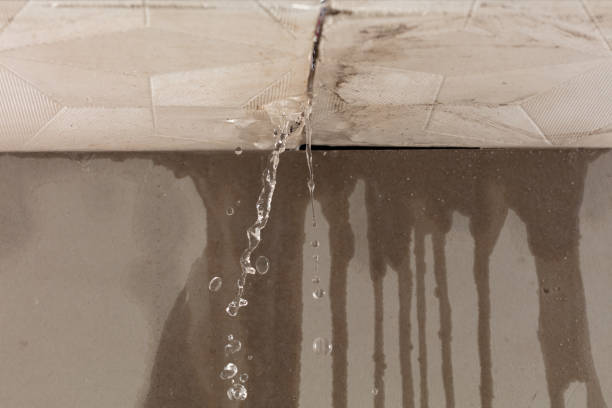 Professional Water Damage Inspection technician working in Ridgely, TN